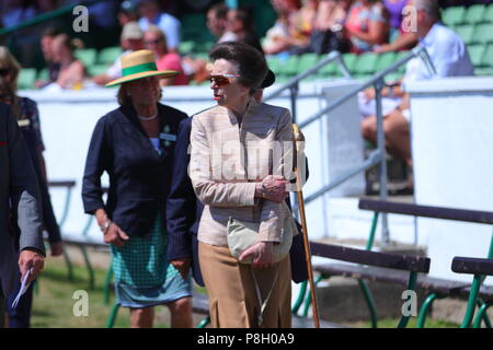 Harrogate, Regno Unito. 11 Luglio, 2018. Princess Anne frequentando il centosessantesimo grande Yorkshire mostrano in Harrogate Credito: Yorkshire Pics/Alamy Live News Foto Stock