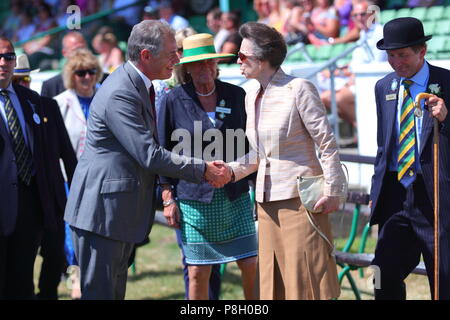 Harrogate, Regno Unito. 11 Luglio, 2018. Princess Anne frequentando il centosessantesimo grande Yorkshire mostrano in Harrogate Credito: Yorkshire Pics/Alamy Live News Foto Stock