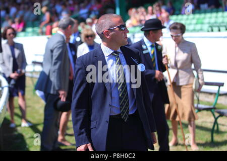 Harrogate, Regno Unito. 11 Luglio, 2018. Princess Anne frequentando il centosessantesimo grande Yorkshire mostrano in Harrogate Credito: Yorkshire Pics/Alamy Live News Foto Stock