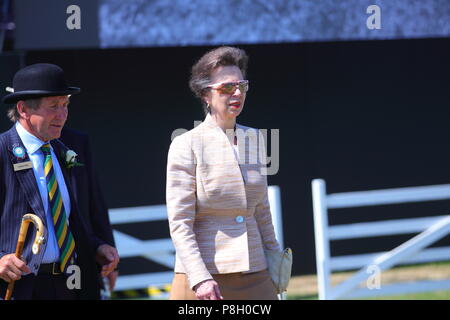 Harrogate, Regno Unito. 11 Luglio, 2018. Princess Anne frequentando il centosessantesimo grande Yorkshire mostrano in Harrogate Credito: Yorkshire Pics/Alamy Live News Foto Stock