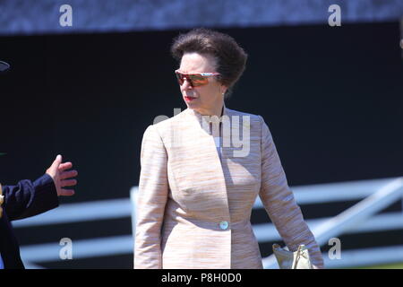 Harrogate, Regno Unito. 11 Luglio, 2018. Princess Anne frequentando il centosessantesimo grande Yorkshire mostrano in Harrogate Credito: Yorkshire Pics/Alamy Live News Foto Stock