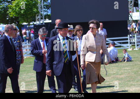 Harrogate, Regno Unito. 11 Luglio, 2018. Princess Anne frequentando il centosessantesimo grande Yorkshire mostrano in Harrogate Credito: Yorkshire Pics/Alamy Live News Foto Stock