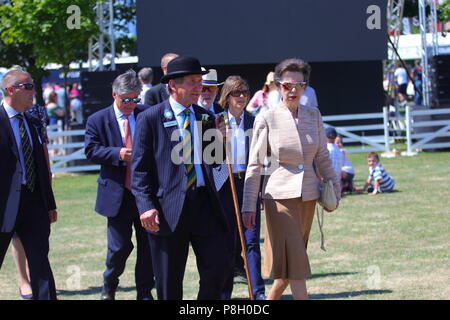 Harrogate, Regno Unito. 11 Luglio, 2018. Princess Anne frequentando il centosessantesimo grande Yorkshire mostrano in Harrogate Credito: Yorkshire Pics/Alamy Live News Foto Stock