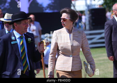 Harrogate, Regno Unito. 11 Luglio, 2018. Princess Anne frequentando il centosessantesimo grande Yorkshire mostrano in Harrogate Credito: Yorkshire Pics/Alamy Live News Foto Stock