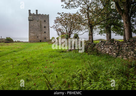 Il castello di Carrigaholt sulla penisola Loophead nella contea di Clare, Irlanda Foto Stock