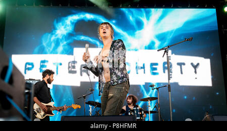 Pete Doherty esegue sul palcoscenico,​ sessioni di domenica, Scozia, Dalkeith Country Park, Edimburgo domenica 24 giugno 2018: Photo credit Martin osso Foto Stock