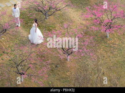 Sposi in luna di miele cinese in bianco in un fiorente parco pubblico di Hefei, Cina Foto Stock