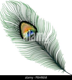 Stock illustrazione vettoriale Peacock feather isolati su sfondo bianco. EPS 10 Illustrazione Vettoriale