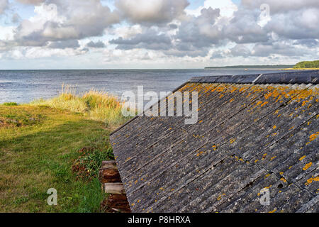 Il muschio giallo sul tetto di ardesia della casa di pescatori sulla costa del Mar Baltico di Hiiumaa Island... Foto Stock