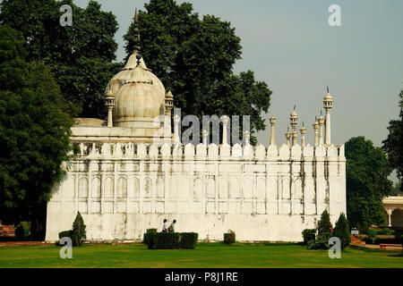 Moti Masjid, perla moschea, il complesso del Forte Rosso, New Delhi, India Foto Stock