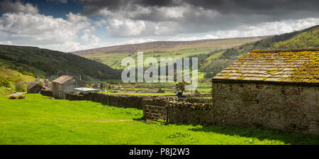 Regno Unito, Inghilterra, Yorkshire, Swaledale, Dyke teste, villaggio Gunnerside dalla strada sottostante Gunnerside pascolo, panoramica Foto Stock