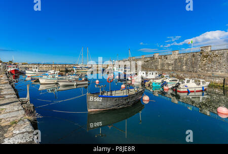 Nord-est Irlanda del Nord. Foto Stock