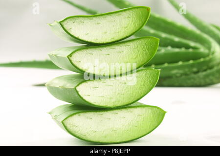 Aloe vera pianta di erbe fette della foglia Foto Stock