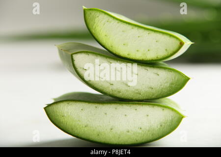 Aloe vera pianta di erbe fette della foglia Foto Stock