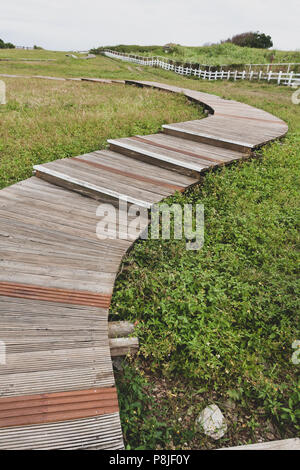 S-forma curva sentiero in legno in erba, Mambo (Ocean Sunfish) Oceanic Recreation Park, Hualien County, Taiwan. Vintage tonica Foto Stock