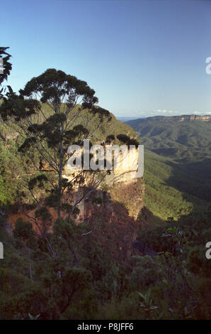 Jamison Valley e scogliere vicino Wentforth Falls, Blue Mountains, NSW, Australia: una discesa lunga Foto Stock