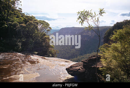 Nella parte superiore della Wentforth Falls, Blue Mountains, NSW, Australia: una discesa lunga Foto Stock