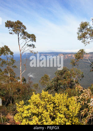 Guardando attraverso Jamison Valley per montare solitaria da Echo Point Lookout, Katoomba, Blue Mountains, Nuovo Galles del Sud, Australia Foto Stock