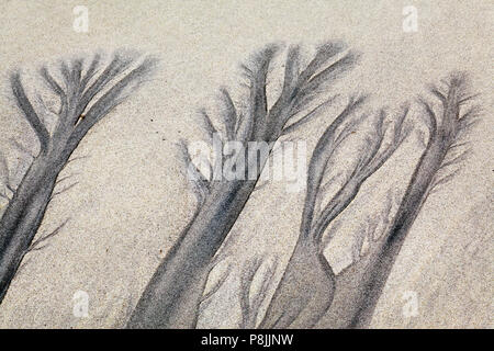 Modelli astratti in sabbia formata da acqua corrente Foto Stock