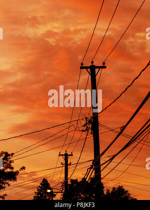 Le linee di alimentazione e colorato il cielo al tramonto. Foto Stock