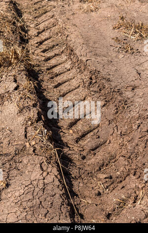 Tracce di pneumatici nel fango Foto Stock