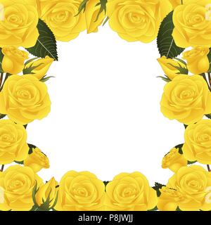 Rosa gialla fiore bordo del frame isolati su sfondo bianco. Illustrazione Vettoriale. Illustrazione Vettoriale