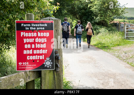 Bestiame d' allevamento segno. Avviso che richiede alle persone di "Si prega di tenere i vostri cani al guinzaglio e sotto controllo", Derbyshire, England, Regno Unito Foto Stock