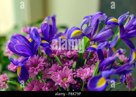 Ancora vita bouquet di fiori. Foto Stock