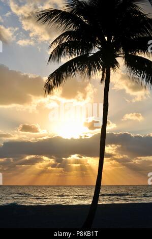 Colorate, parzialmente nuvoloso tramonto arancione con raggi di sole piercing le nuvole sopra l'Oceano Atlantico con silhouette della palma, Florida, Stati Uniti d'America. Foto Stock