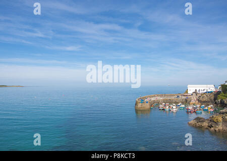 Il porto e il villaggio di Cornish villaggio di pescatori di Coverack in Cornwall, Regno Unito su una bella giornata d'estate. Foto Stock