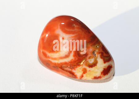 Bubblegum Agata, auto-raccolti dal Buffalo Gap National praterie del Dakota del Sud, Stati Uniti. Foto Stock