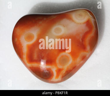 Bubblegum Agata, auto-raccolti dal Buffalo Gap National praterie del Dakota del Sud, Stati Uniti. Foto Stock