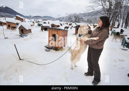 Ushuaia, Argentina. 12 Luglio, 2018. Liliana, un trainer dell'incubatoio 'Siberici di fuoco", gioca con un husky in Ushuaia, Tierra del Fuego Provincia, Argentina, 8 luglio 2018. Le slitte trainate dai cani, millenaria attività in alcune regioni dell'emisfero settentrionale come l'Alaska, Scandinavia, o la Siberia, attrarre turisti nel sud dell Argentina di oggi. Credito: Martin Zabala/Xinhua/Alamy Live News Foto Stock