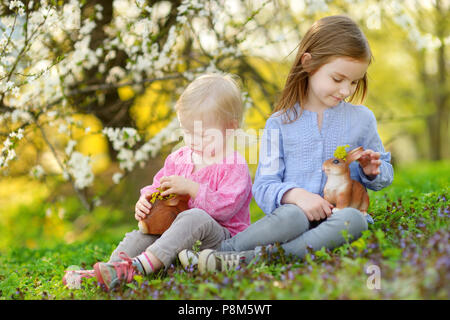 Due adorabili poco sorelle giocando con conigli pasquali in fioritura spring garden il giorno di Pasqua Foto Stock