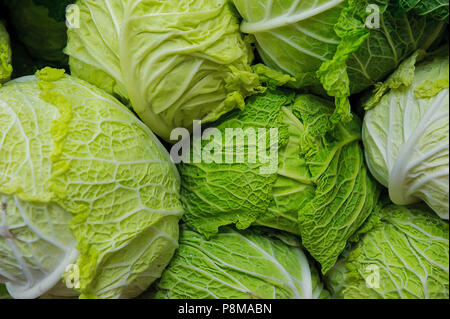 Sfondo di cibo - il cavolo verza varietà in una pila al Mercato del contadino Foto Stock