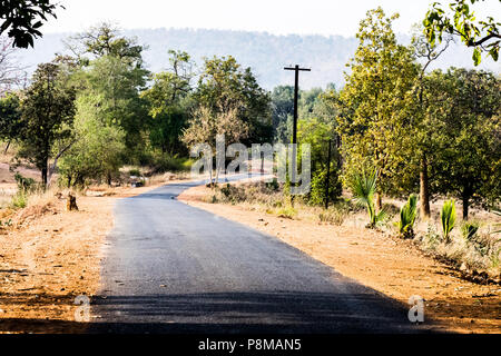 Strada rurale ai lati di una strada circondata da grandi querce in un pomeriggio caldo in estate Foto Stock
