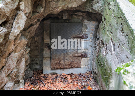 Vecchia Miniera ingresso porta di metallo in Angeles National Forest area del popolare Montagne di San Gabriel sopra la e pasadena california. Foto Stock