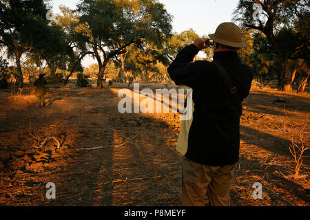 Ranger del Parco e i turisti su Safari a piedi. Parco Nazionale di Mana Pools. Zimbabwe Foto Stock