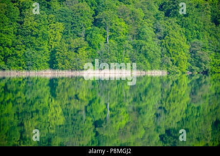 Regione dei Laghi di Feldberg nel Meclemburgo-Pomerania occidentale Germania Foto Stock