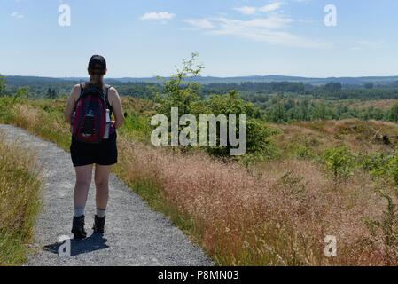 Una donna che cammina nel Galloway Forest Park, Dumfries and Galloway, Scozia, durante la stagione estiva Foto Stock