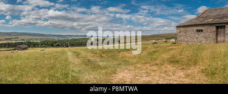 North Pennines AONB paesaggio panoramico, guardando a sud ovest west fino Teesdale dal di sopra Newbiggin Foto Stock