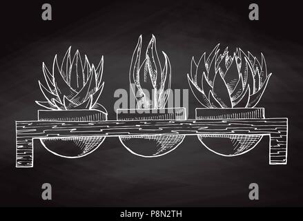 Schizzo tre piante succulente in vasi su un supporto di legno isolata sulla lavagna. Illustrazione Vettoriale. Illustrazione Vettoriale