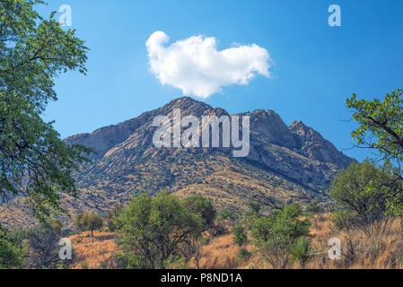 La gamma della montagna presso il Coronado National Memorial, Hereford, Arizona, Stati Uniti. Foto Stock