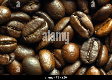 Macro closeup di mezzo caffè torrefatto fagiolo di origine etiope adatto per tutti i metodi di produzione di birra, vista dall'alto Foto Stock