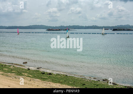 Singapore - Luglio: 8,2018 Pasir Ris Park . Barca a vela in acque calme. Singapore. Pasir Ris Park è un parco sulla spiaggia si trova nella parte di Singapore che aprire Foto Stock