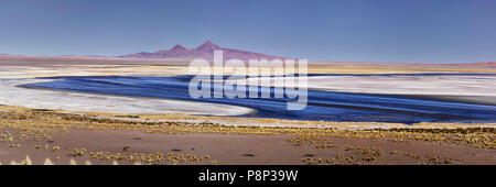 Paesaggio con saltlake sulla distesa di sale Salar de Tara Foto Stock