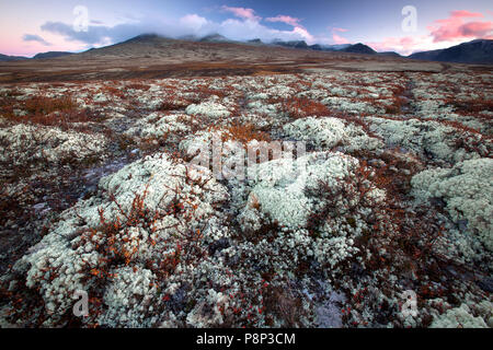 Rondane National Park Foto Stock