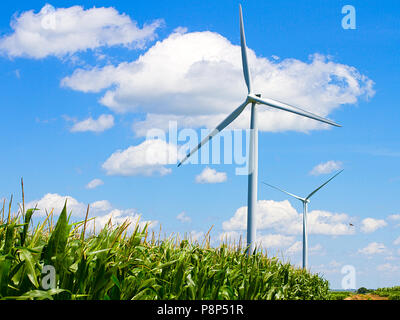 Le turbine eoliche forniscono energia pulita in un campo di mais Foto Stock