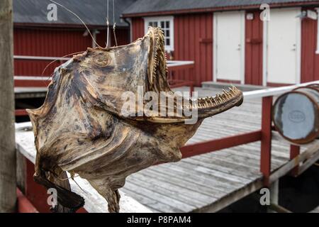 Isole Lofoten in Norvegia Foto Stock