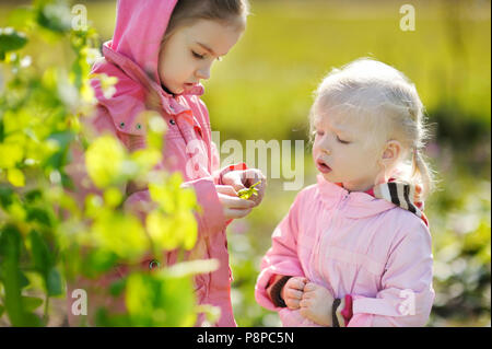 Due adorabili Piccole sorelle di mangiare piselli in autunno giardino Foto Stock